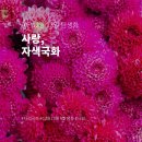 자색 이미지