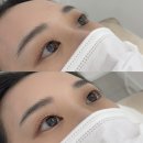 유니의속눈썹 | [구미 문성 속눈썹펌] 블랑유니 속눈썹펌 후기｜유지력 좋은 무쌍 속눈썹펌