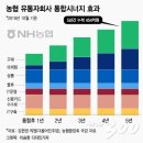 밝은유통 이미지