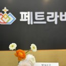 인애플라워 이미지