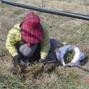 민들레세상 이미지