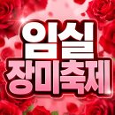 스포츠파크 공설운동장 | 임실 장미축제 일정 주차장 꿀팁과 직접 다녀온 숨은 포토존 맛집 총정리