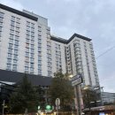 힐튼파크 | 2025 9. 오스트리아 [힐튼 비엔나 파크, 파노라마뷰룸 숙박 후기, 조식 부페 후기]