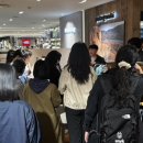 협동조합 노느매기 | 영등포 ESG 청년 취창업 부트캠프 해커톤 한 달 과정 후기