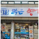 동강맑은송어 네이버블로그