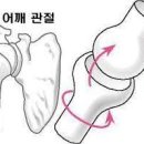 트리거짐 네이버블로그