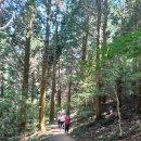 봉래산주차장 이미지