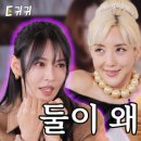 엠디엘 이미지