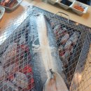 팔팔풍천장어 | 노원구장어맛집 해품장팔팔장어본점 왕특대풍천장어1kg 솔직후기 웨이팅 주차