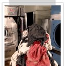 크린미타 이미지