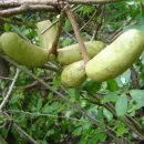 충영농장 이미지