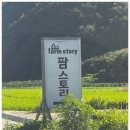 산내천 | 청도캠핑장에서 청정자연과 편안함을 동시에 느끼다!