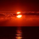 존 행정사 이미지