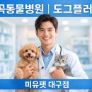 도그플러스동물병원 이미지
