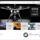 위트네트웍스