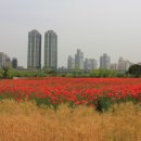 상동호수공원 이미지