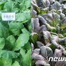 영심축산 이미지