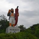 괴산 청결 고추 (건고추) 이미지