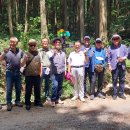 "장성군 축령산 '편백나무 숲'을 찾아서"＜2023.05.17(수)＞ 이미지