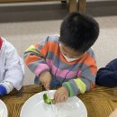 2023년 1월 12일(목) 암웨이봉사단 "꽃빵잡채 만들기" 이미지
