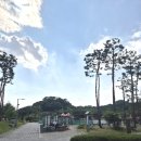 오남근린 물놀이공원 | 아이와 함께 피크닉하기 좋은 경기도 양주 [선돌 근린공원] 위치/ 의미/ 놀거리 /파라솔 / 물놀이터 정보