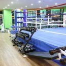 황준철TOP복싱클럽 이미지