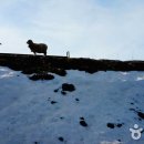 태평양목장 이미지