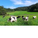 열린목장 이미지