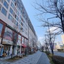 국세청앞 BRT 이미지