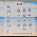 블루멍S 네이버블로그