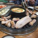 엉터리생고기 이미지