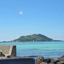 영어조합법인 청정제주 | [제주] 한림리조트 (23개월 아기랑) 여름휴가🏖 4박 5일 中 3일차