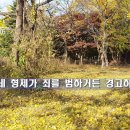 나의 구세주(2006년) 오산리 금식 기도원 성령의 은사곡 이미지