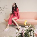 찰스네 이미지