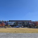 서울대공원 | 서울대공원 동물원 방문후기 +주차, 식사, 입장료 꿀팁