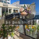 문현초등학교 | 울산 꽃집 동구 꽃바위 천자만홍 꽃다발 화분 후기