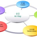 자연주의의원 이미지