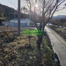 보광1리 이미지