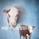 일인칭사진관 | 롱타임노씨~.~