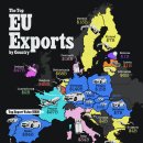 지도: 각 EU 국가의 최고 수출품 이미지