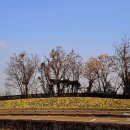 석류공원 이미지