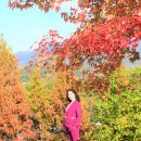 함안향교 이미지