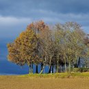 한서한의원 이미지