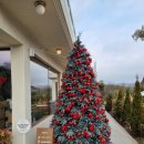 동화속베이커리 | 고양 카페 이쁜 동화속 배다골베이커리