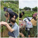 효재농장 이미지