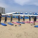 서프버디 | 부산 서핑, 다대포 서핑, "서프버디"방문후기