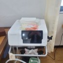 정진모정형외과의원 네이버블로그