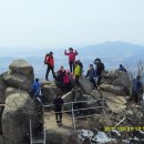 원이중학교 이미지