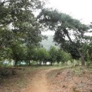 현암농장 이미지