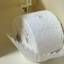 강남대로 현대제철 사옥 앞 | [강남역 맛집] 최근에 간 강남역 맛집 모음🤤🍰